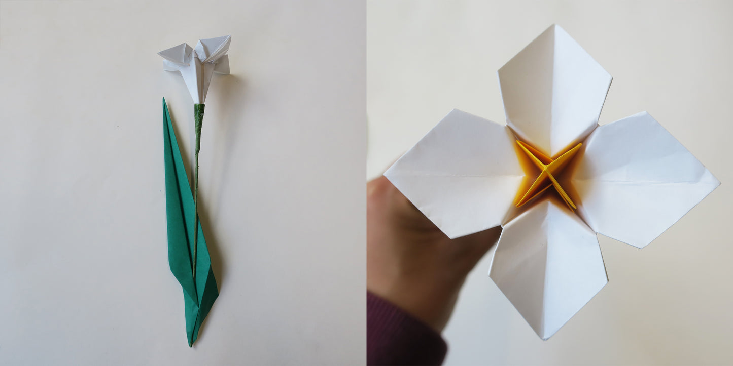 Flower Origami DIY Kit, Make 10 Different Origami Flowers, 15x15cm