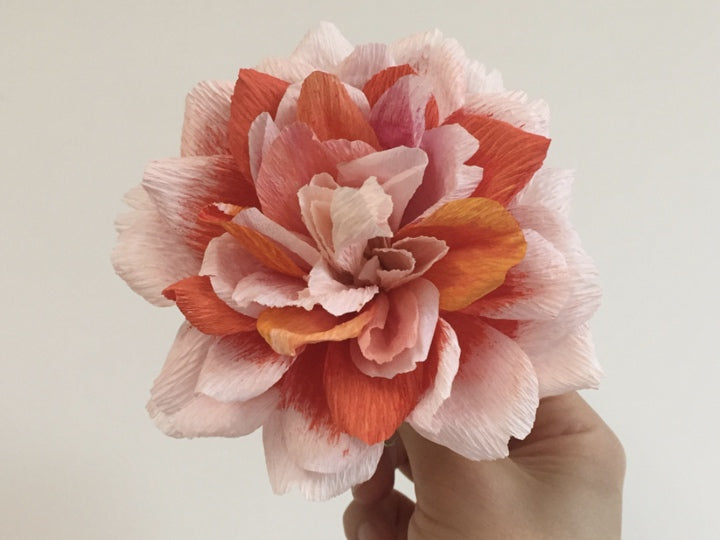 THE MAKING OF A CREPE PAPER ROSA PERLE D'OR