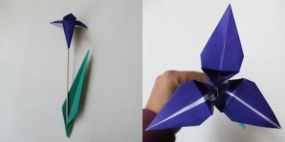 Kit de bricolaje de origami de flores, haga 10 flores de origami diferentes, 15x15 cm