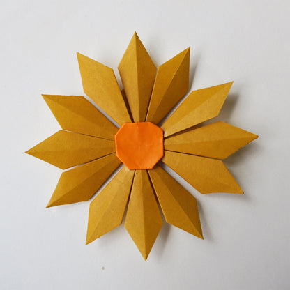 Kit de bricolaje de origami de flores, haga 10 flores de origami diferentes, 15x15 cm