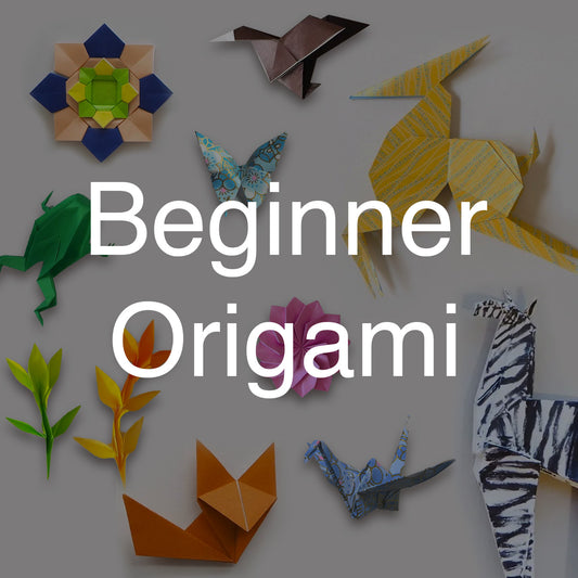 Beginner Origami Workshop