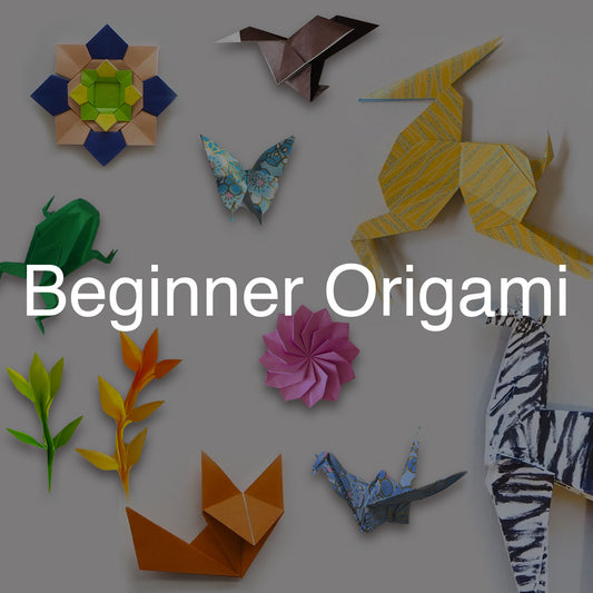 Beginner Origami Workshop