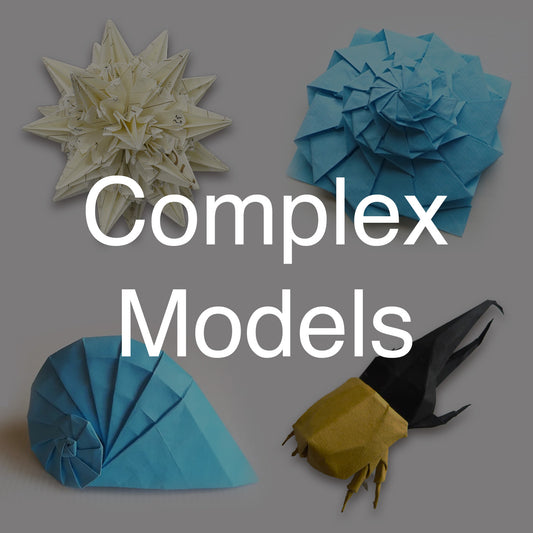 Complex Origami Models Workshop
