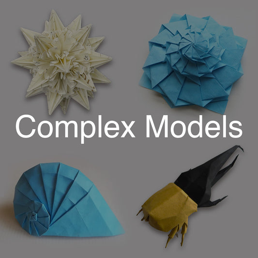 Complex Origami Models Workshop