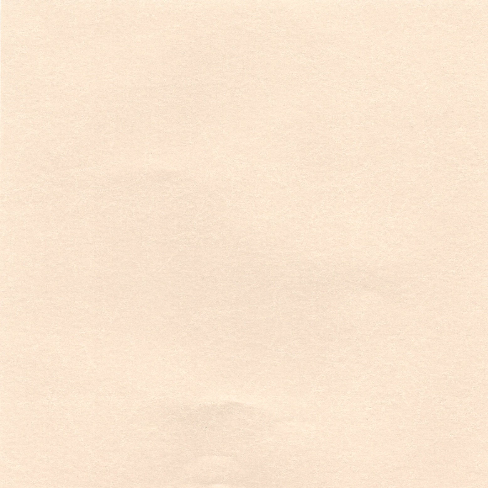 Pack of 20 Sheets 14x14cm Textured Leathac Rouketsu - Eggshell - washi paper - Lavender Home London