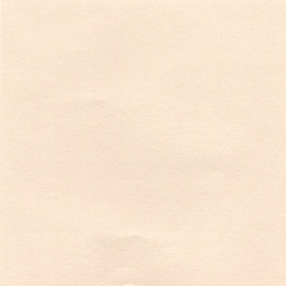 Pack of 20 Sheets 14x14cm Textured Leathac Rouketsu - Eggshell - washi paper - Lavender Home London
