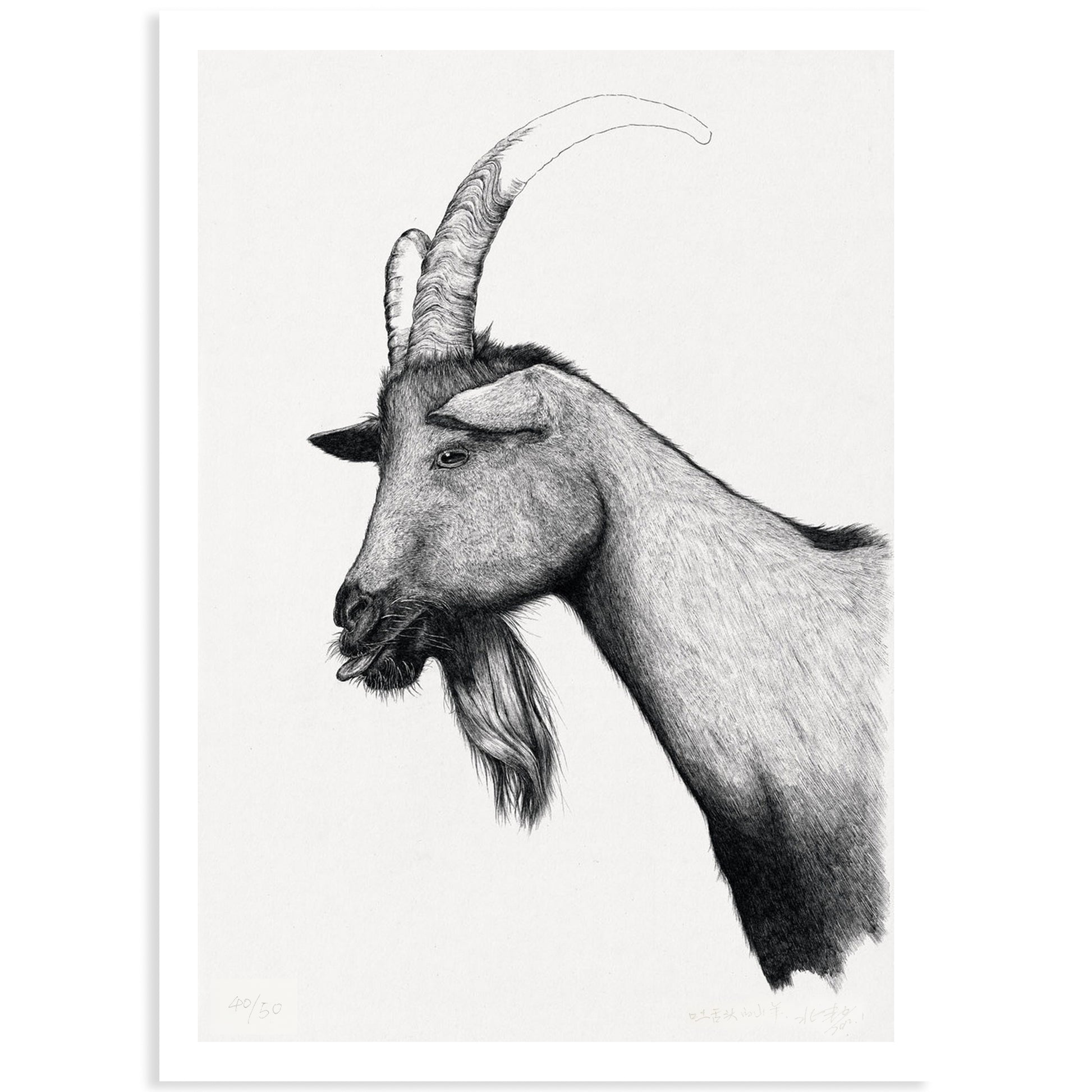 Animal Series Floating Zoo Art Print No.08 - The Goat Spit Out The Tongue - Print - Lavender Home London