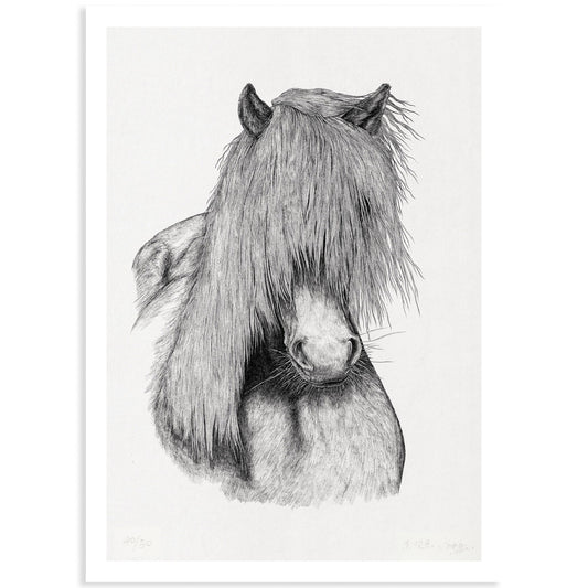 Animal Series Floating Zoo Print No.07 - The horse named Jay - Print - Lavender Home London