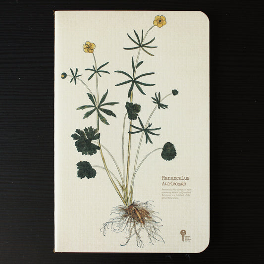 Thin Herb Edition Notebook - Ranunculus Auricomus - Stationery - Lavender Home London