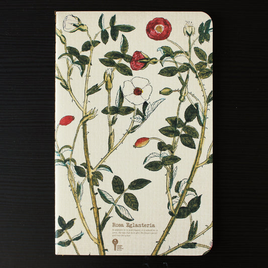 Thin Herb Edition Notebook - Rosa Eglanteriaa / Rubiginosa - Stationery - Lavender Home London