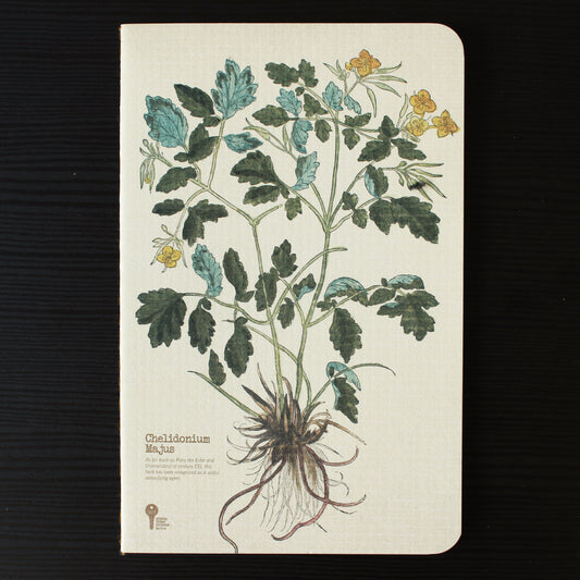 Thin Herb Edition Notebook - Chelidonium Majus Greater Celandine - Stationery - Lavender Home London