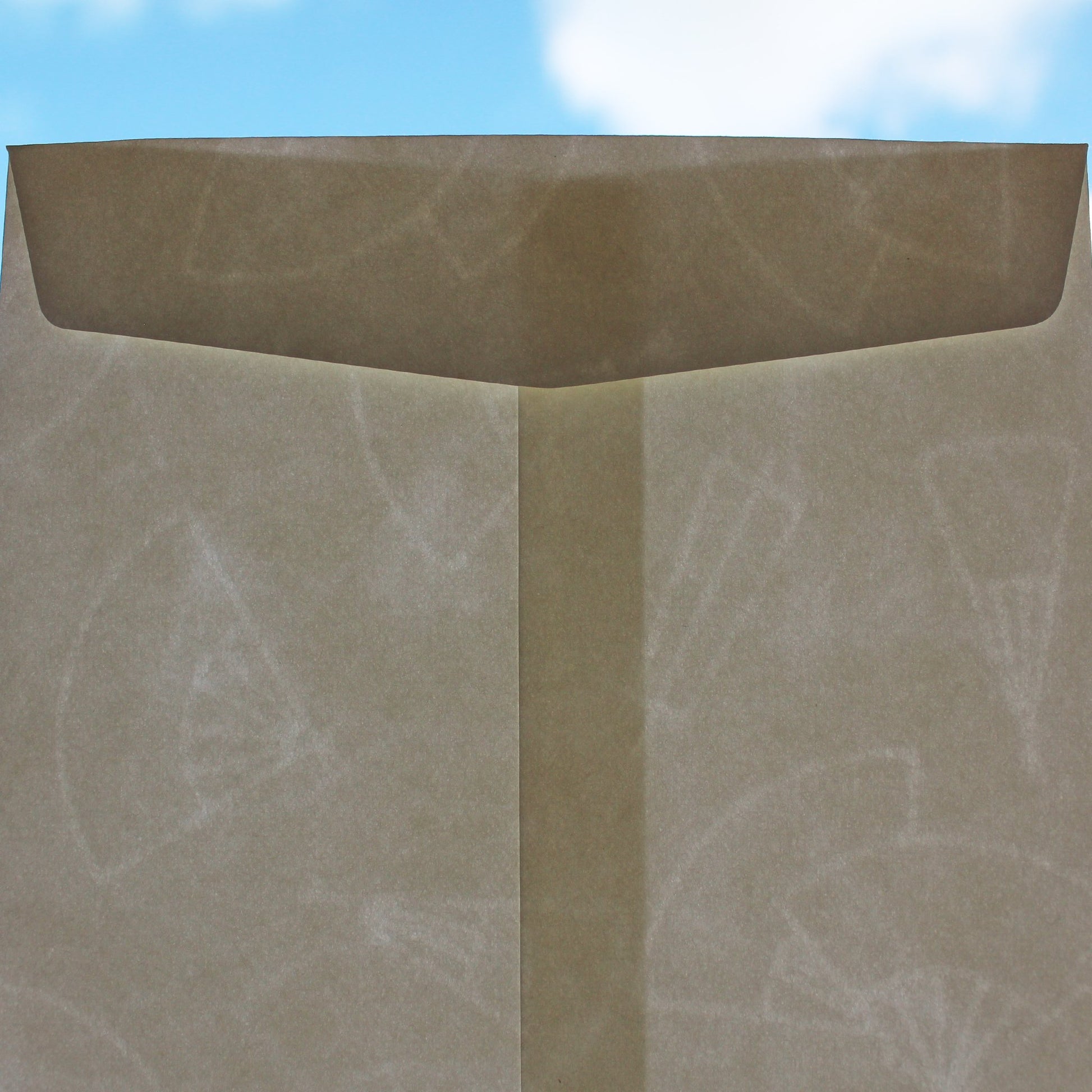 Uchiwa-fan Greeting Card - Morning Glory - Cards - Lavender Home London