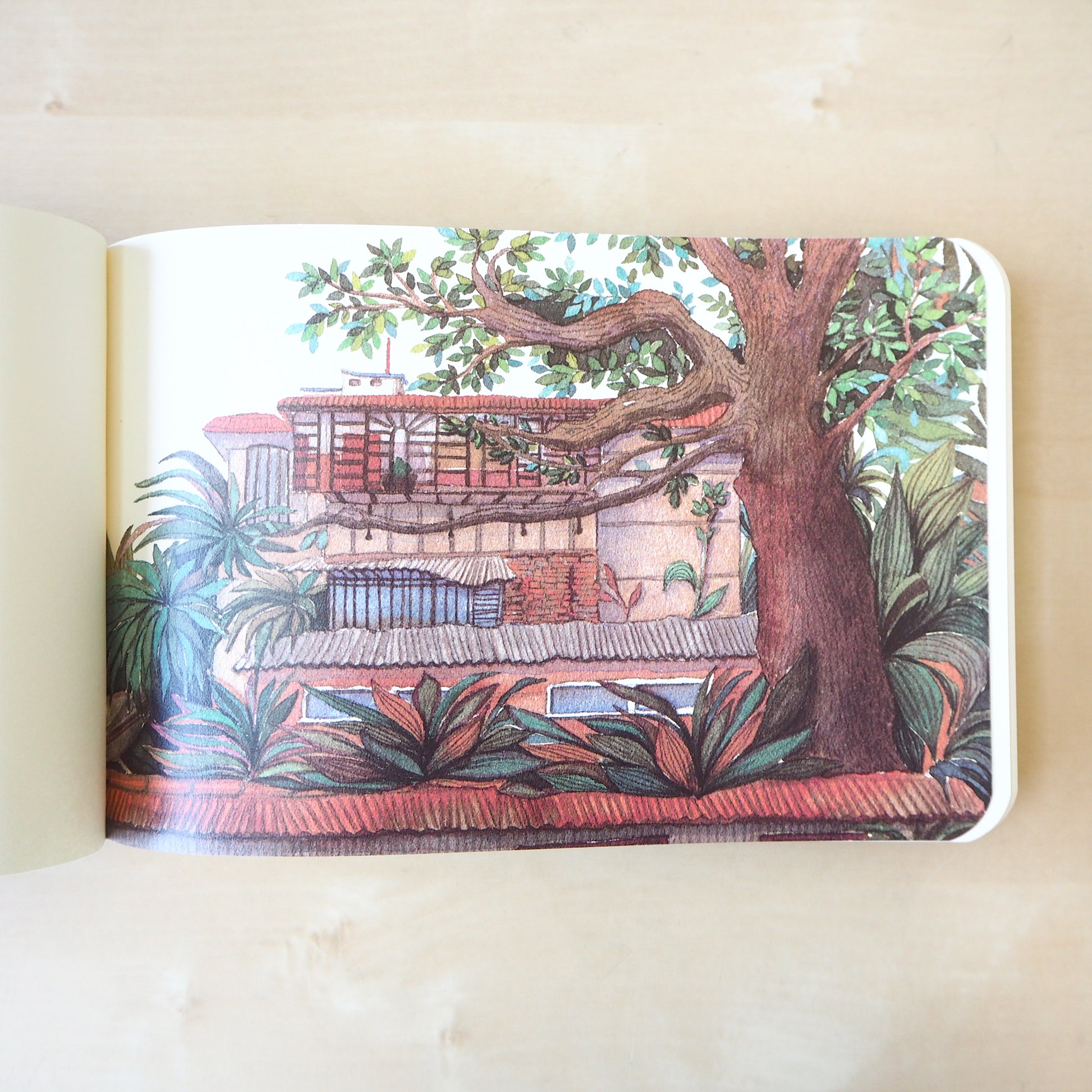 Lush Guilin Sketchbook - Longsheng Rice Terrace - Stationery - Lavender Home London
