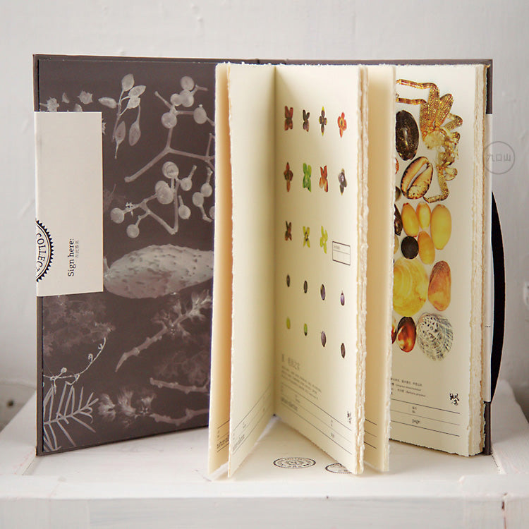 Nature Collection Sketchbook - Summer 02 - Stationery - Lavender Home London