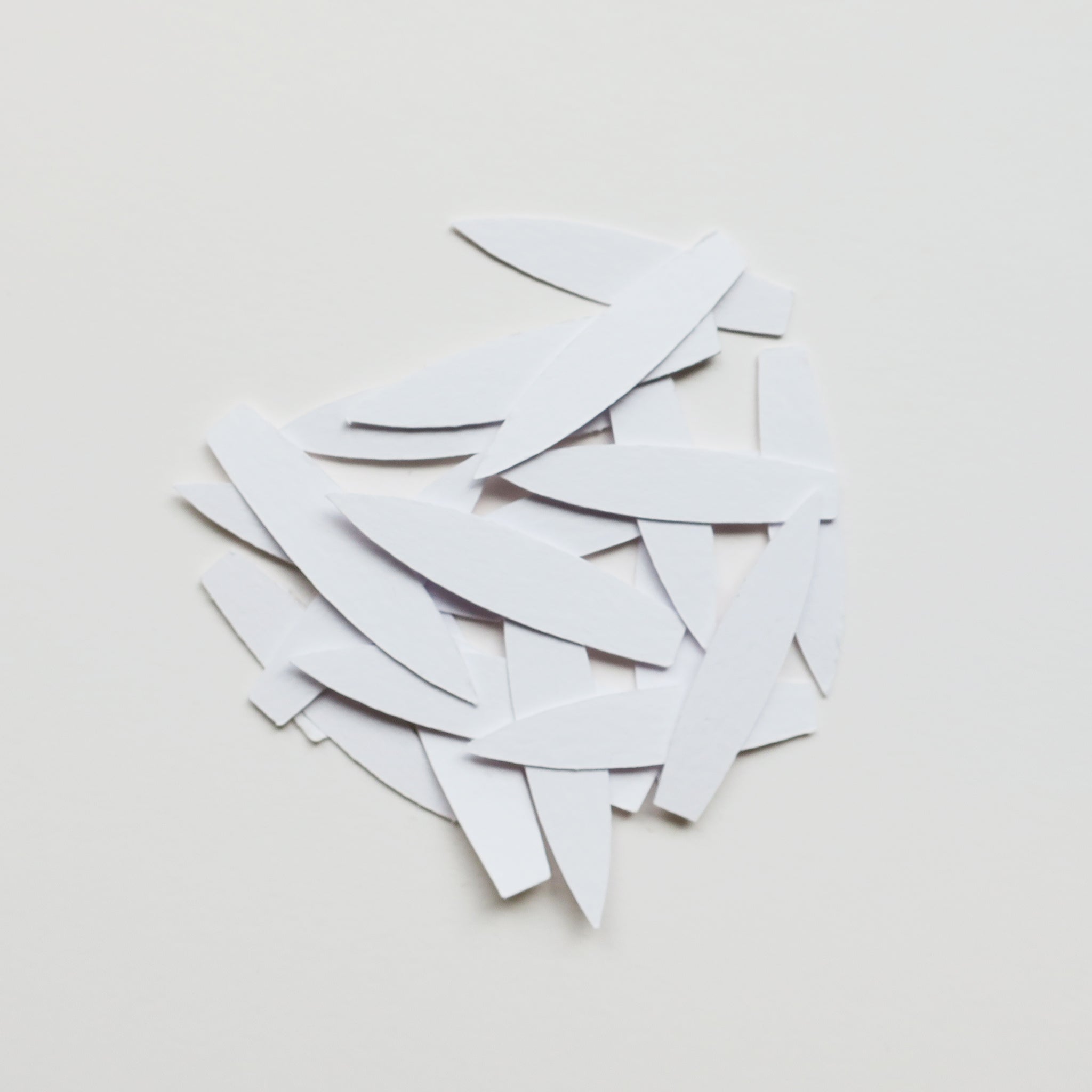 Type A Feathers Size A8 WHITE CARD Lavender Home C S Ltd